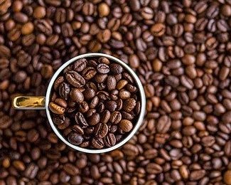 Single-Origin